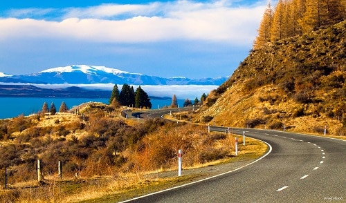 Stage en Nouvelle-Zélande