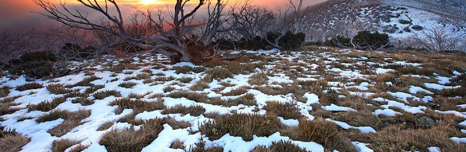 Stage en Australie, que faire pendant la saison hivernale ? Stage en Australie, que faire pendant la saison hivernale ?