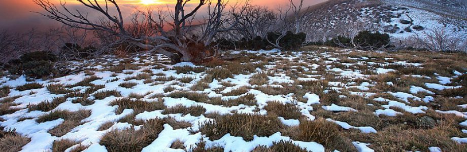 Stage en Australie, que faire pendant la saison hivernale ? Stage en Australie, que faire pendant la saison hivernale ?